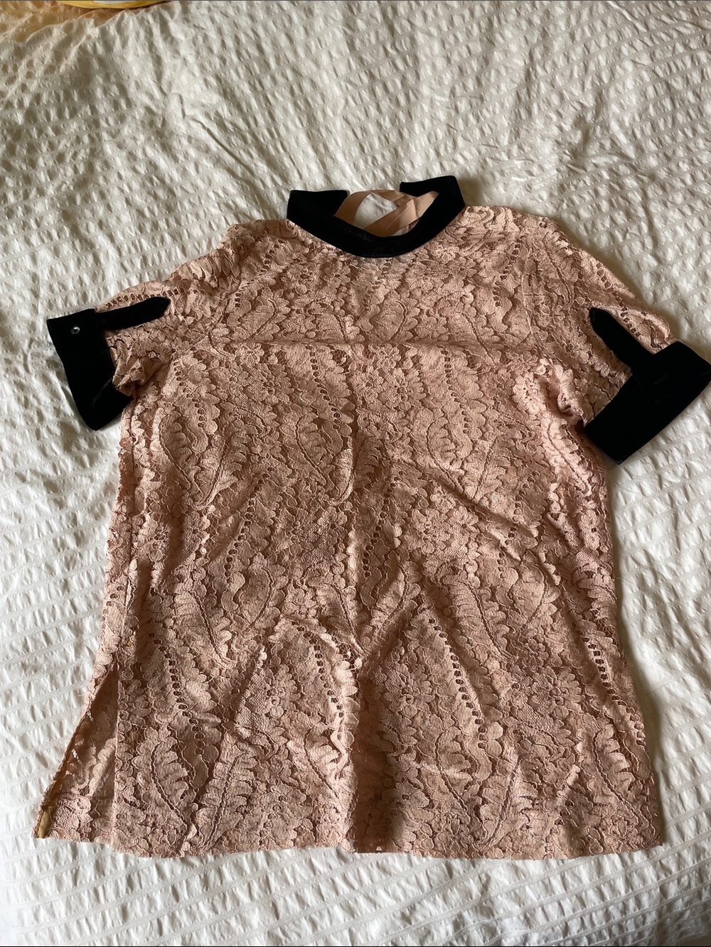 No. 21 Blush Lace Top with Black Velvet Trim